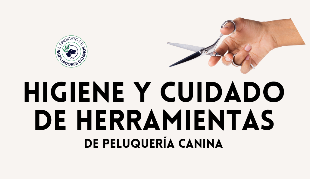 Flyer ilustrativo del curso higiene y cuidado de herramientas de la plataforma Dogway