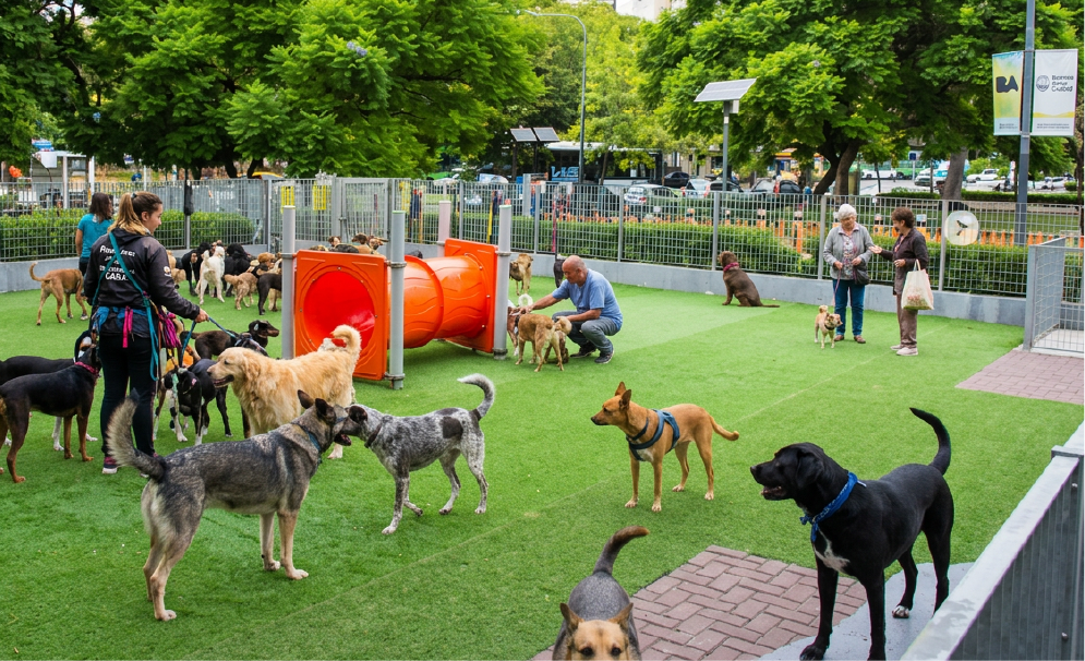 proyecto de regulación de caniles en CABA